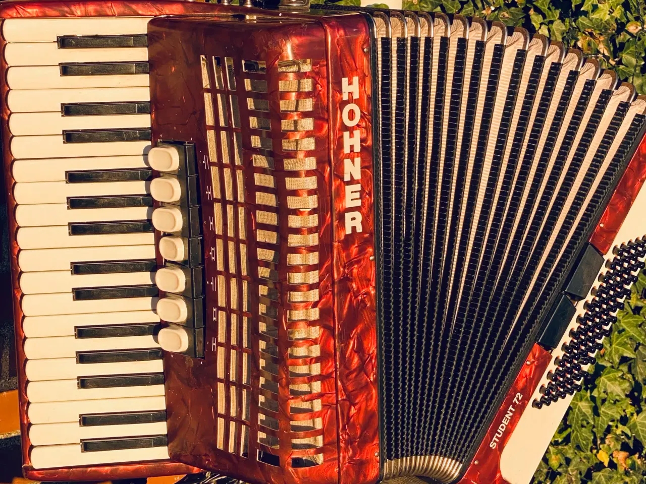 Billede 8 - Hohner Student 72 – solid og velspillende harmonik