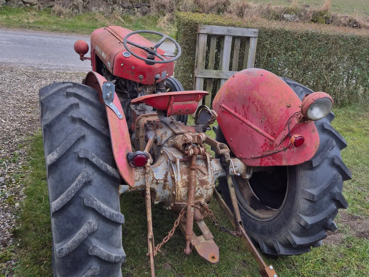 Billede 13 - Massey-Ferguson 