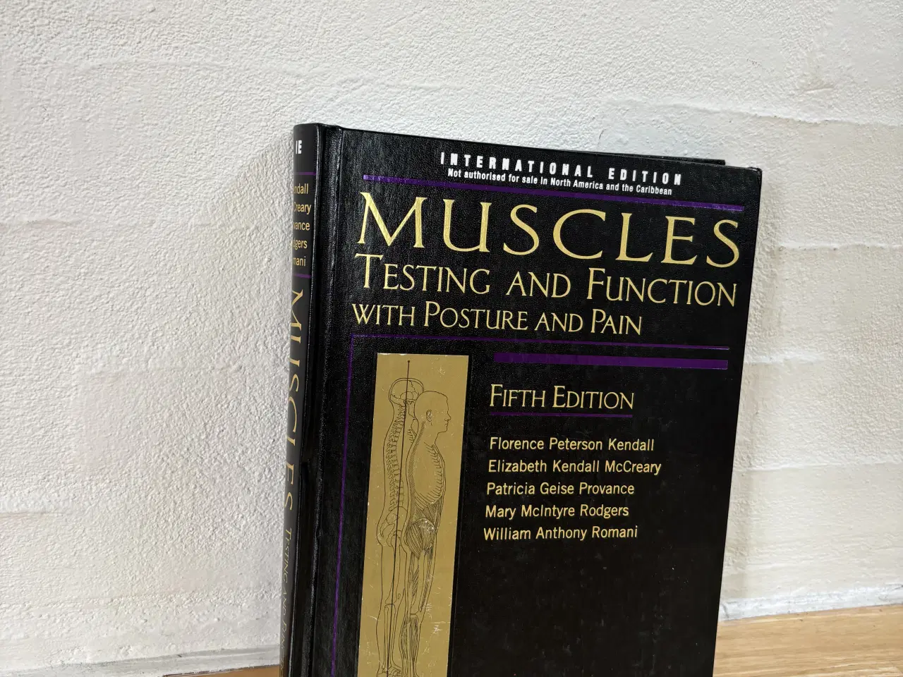 Billede 1 - Muscles Testing and Function with Posture and Pain