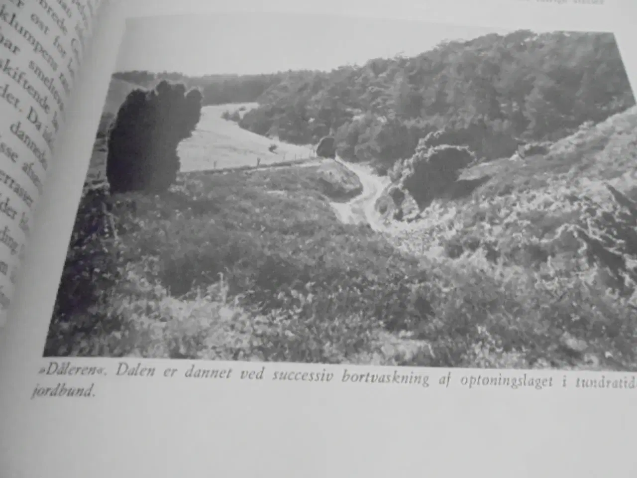 Billede 7 - Østjysk Hjemstavn, årgang 1978 – se fotos og beskr