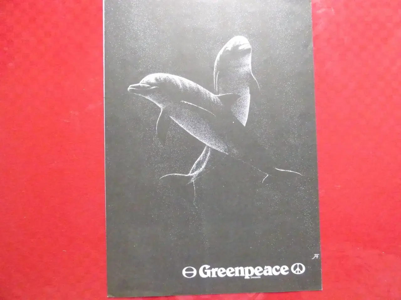 Billede 6 - Greenpeace