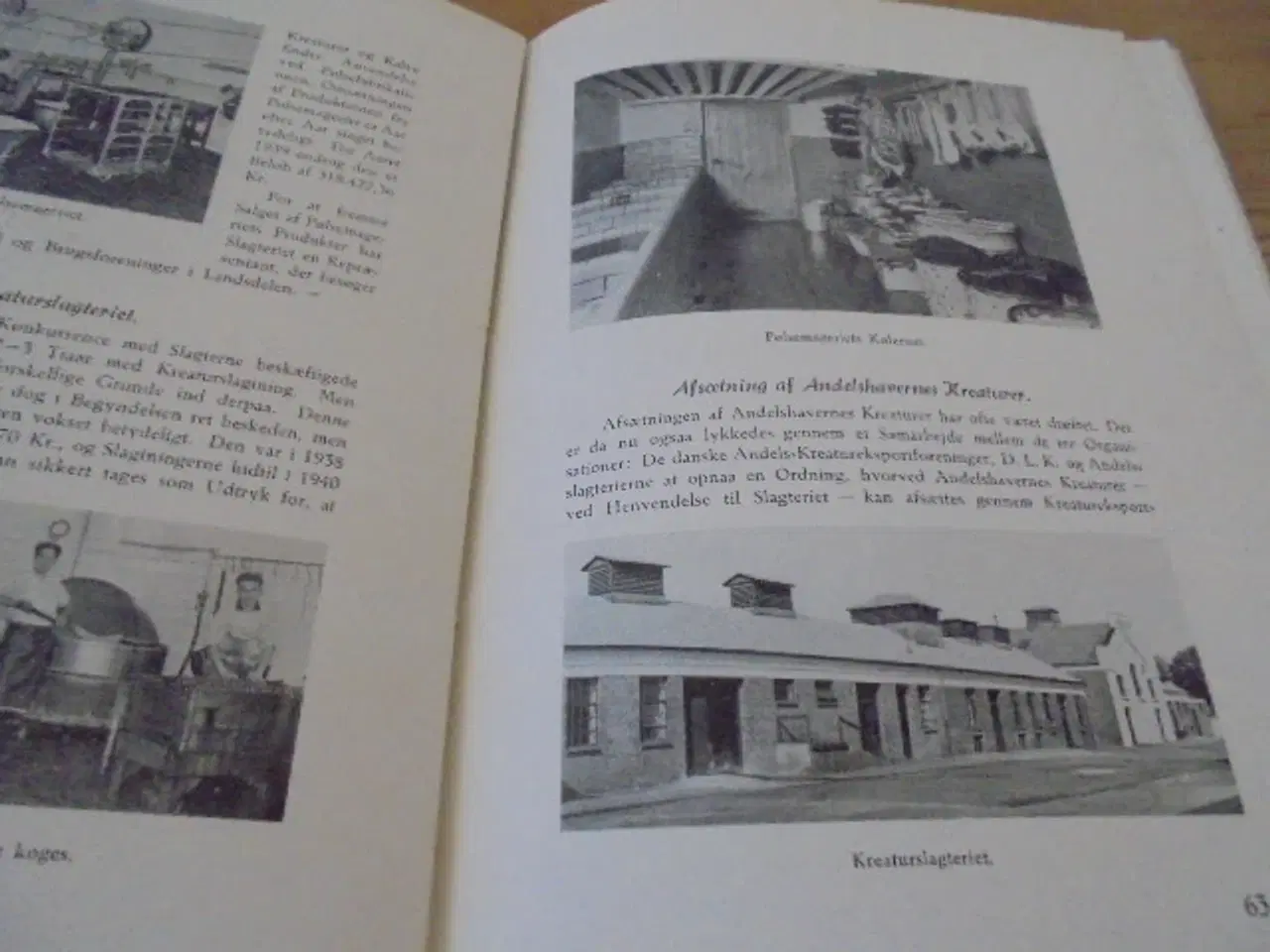 Billede 2 - Hjørring amts andels-svineslagteri 1891-1941 