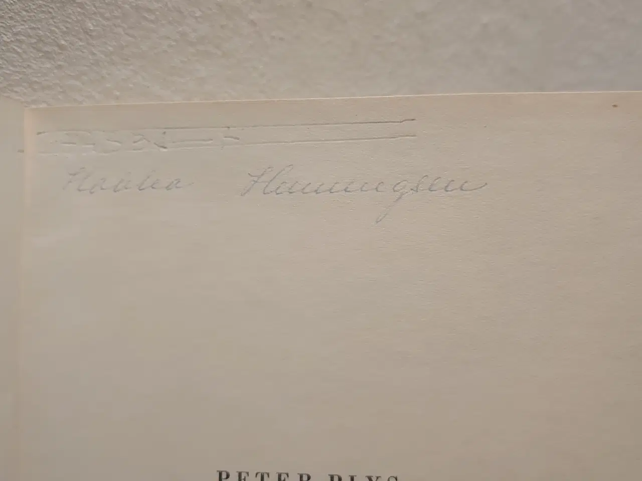 Billede 5 - A.A.Milne: Peter Plys. 3. oplag 1948 ill. Shepard