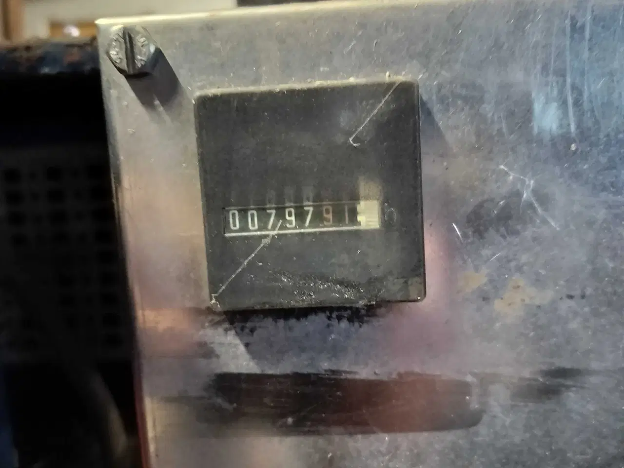 Billede 4 - Stor brændekløver 