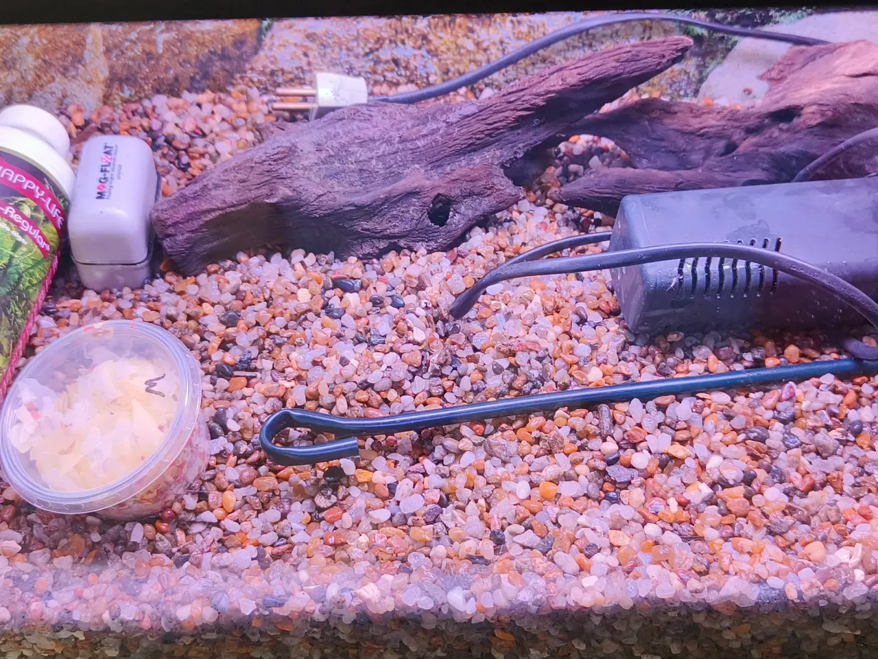 Billede 4 - 54 liters Eheim akvarie med udstyr