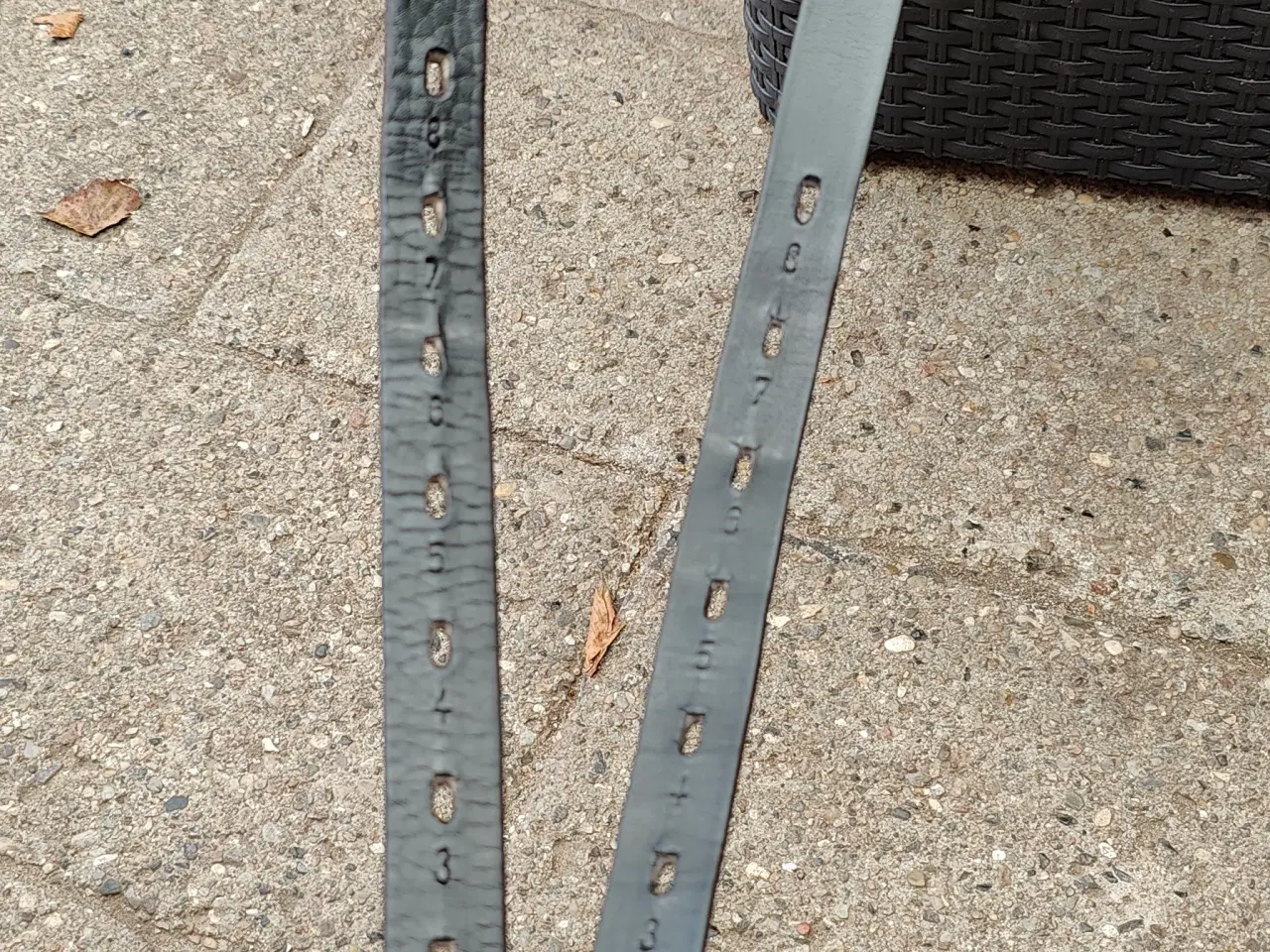 Billede 14 - Kent og Master 17 dressursadel