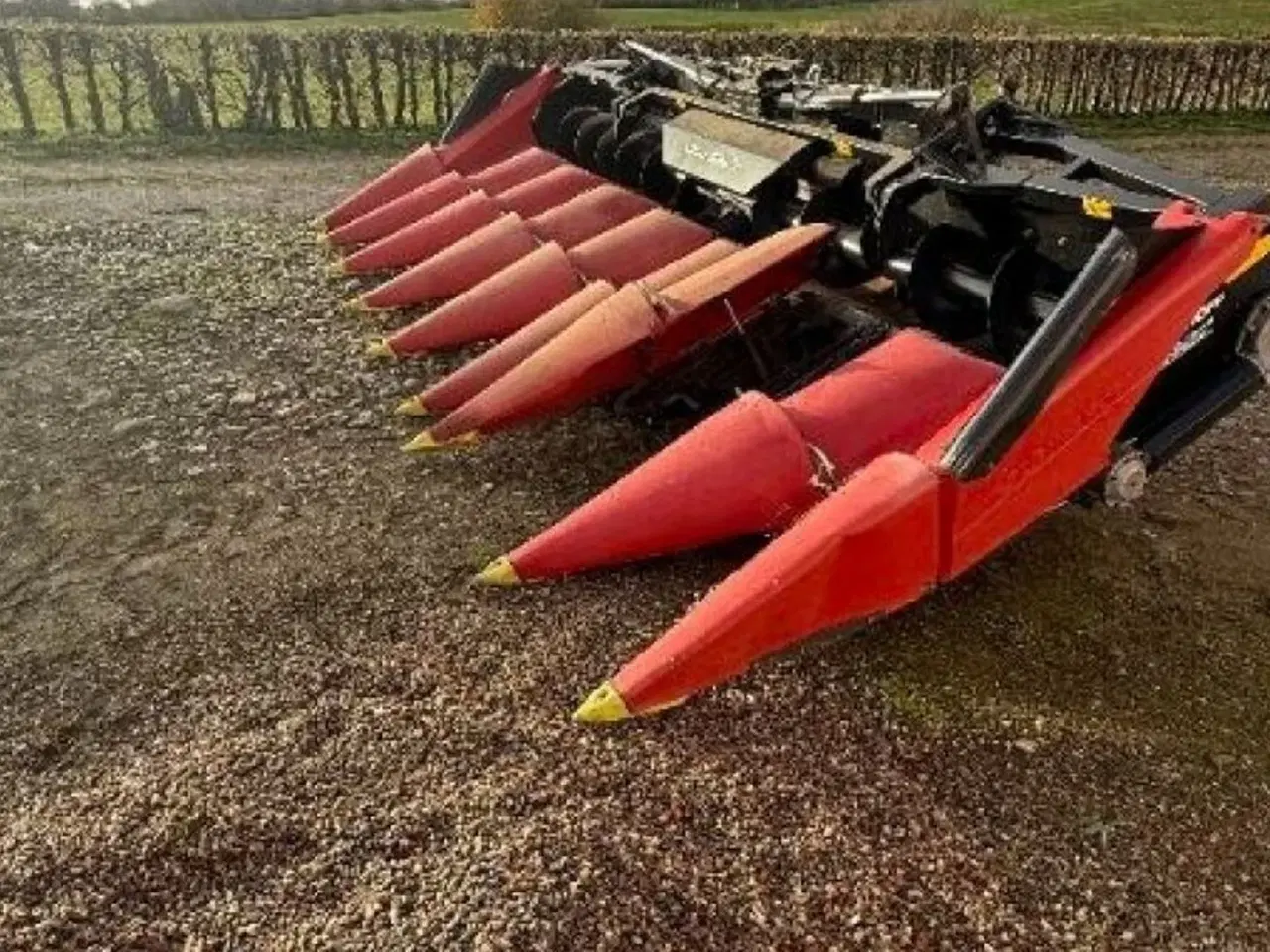 Billede 4 - Geringhoff 8 Rækket