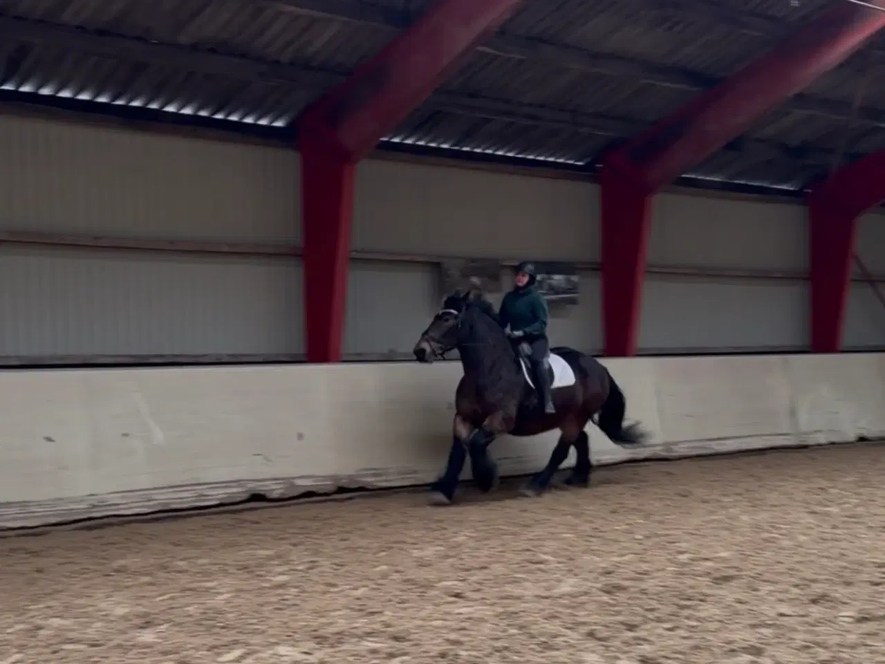 Billede 5 - Elev/ridefys emne