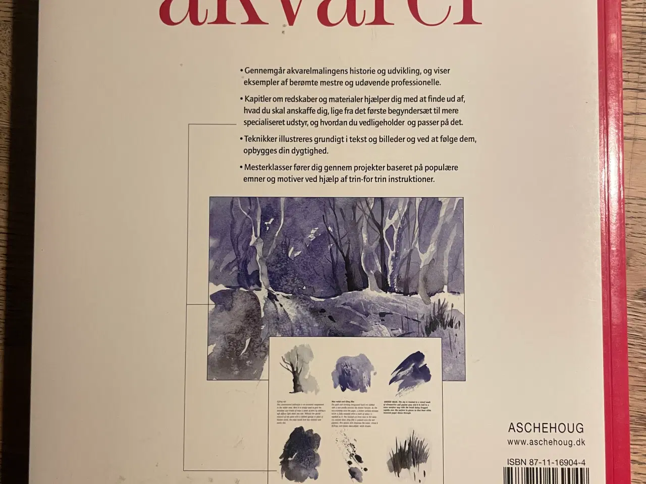 Billede 2 - Grundbog i Akvarel, Curtis Tappenden