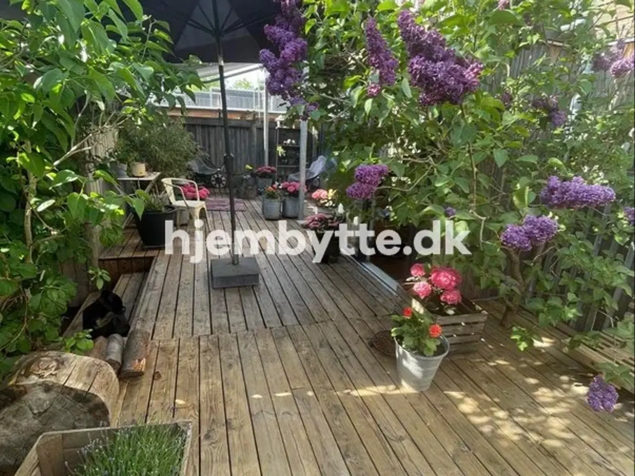 Billede 3 - Hjembytte - Sortemosevej