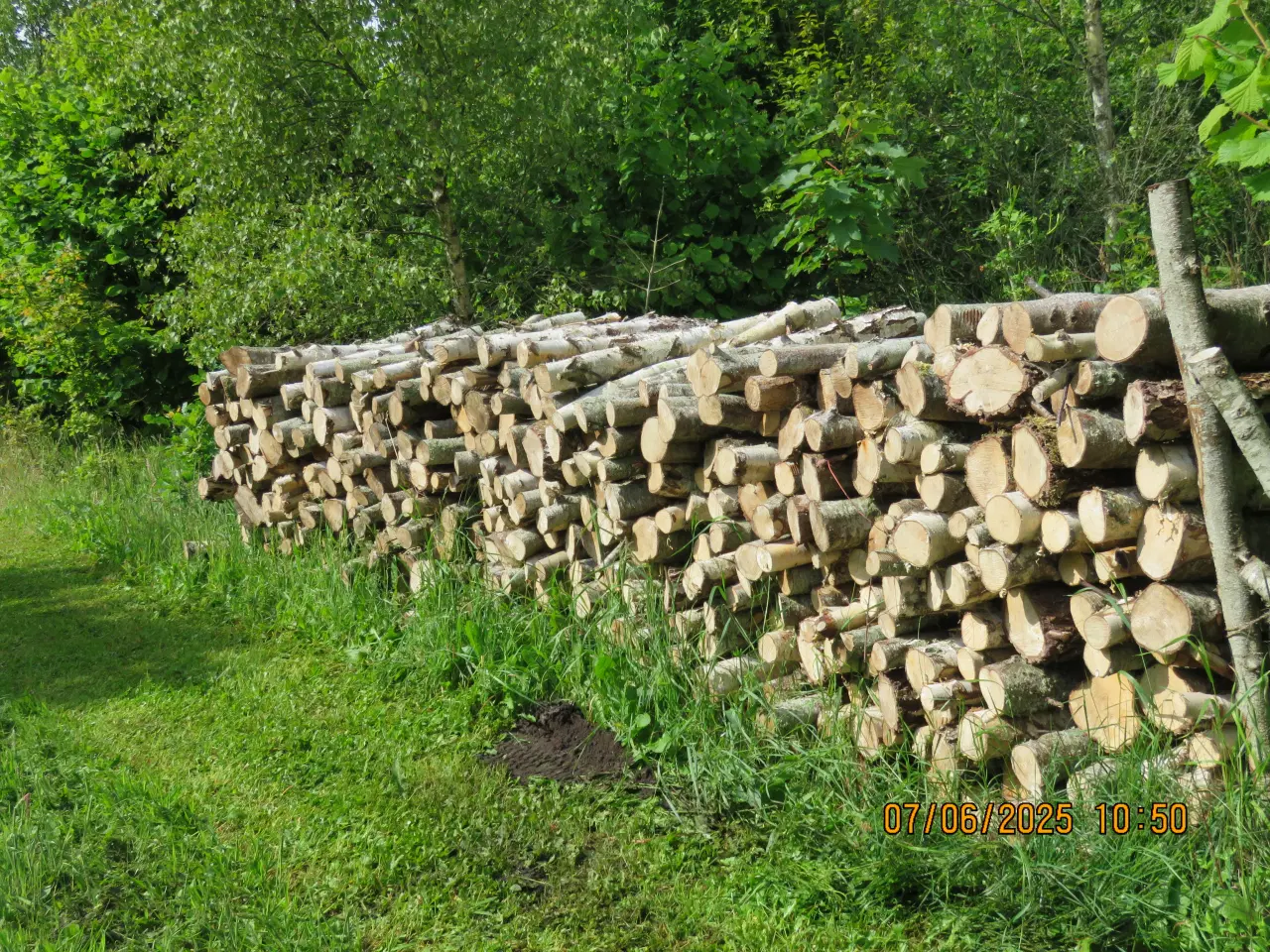 Billede 1 - brænde til brændeovn