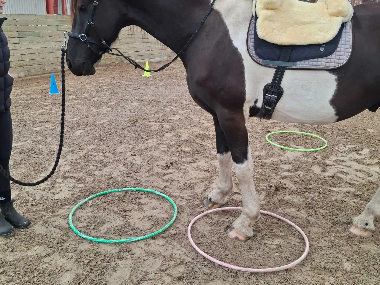 Billede 3 - Projekthest evt kun til arbejde fra jorden