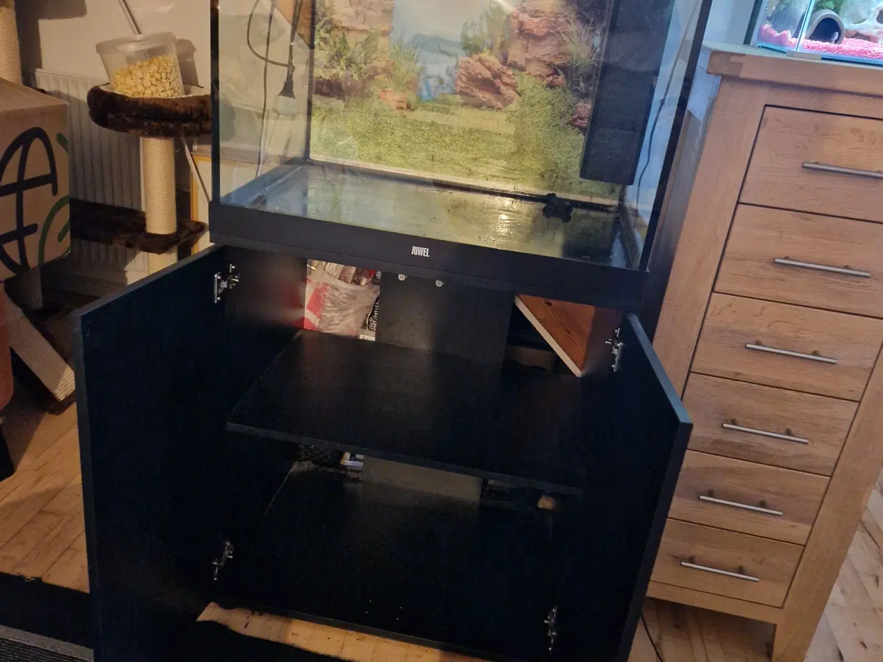 Billede 4 - Akvarium sælges mangel på tid