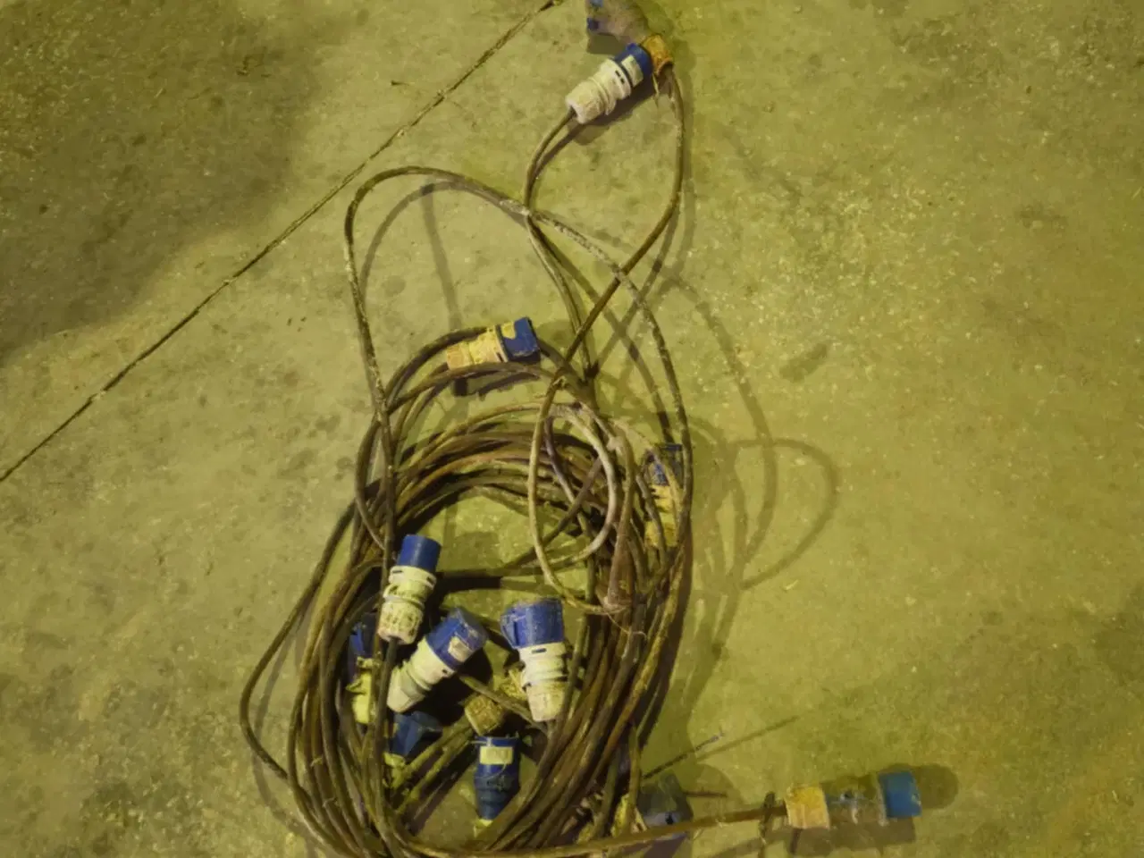 Billede 2 - DLG First Feeder