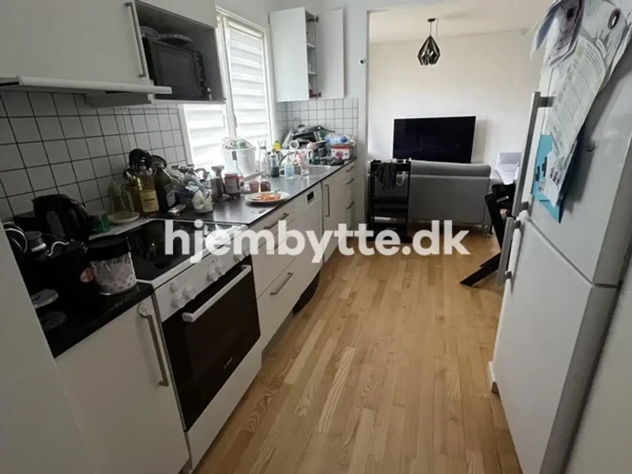 Billede 2 - Hjembytte - Helleborg