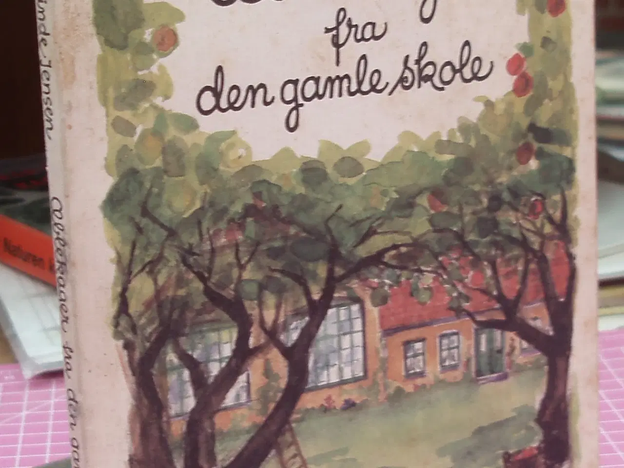 Billede 1 - Æblekager fra den gamle skole