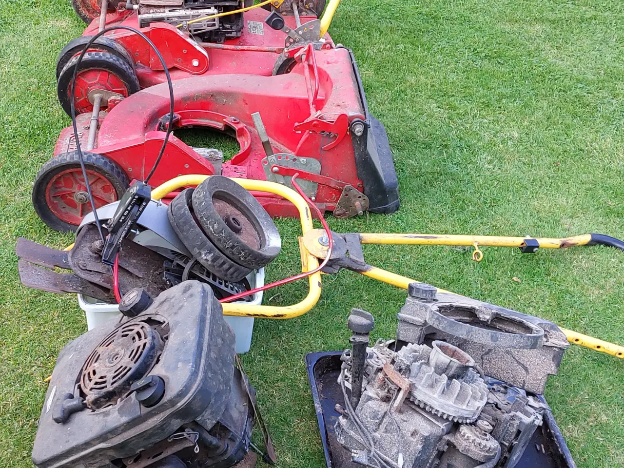 Billede 2 - Klippo plæneklipper 