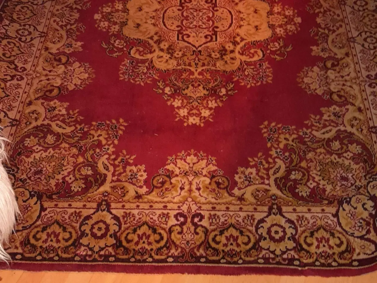 Billede 2 - Lækker blødt løs Persisk tæppe