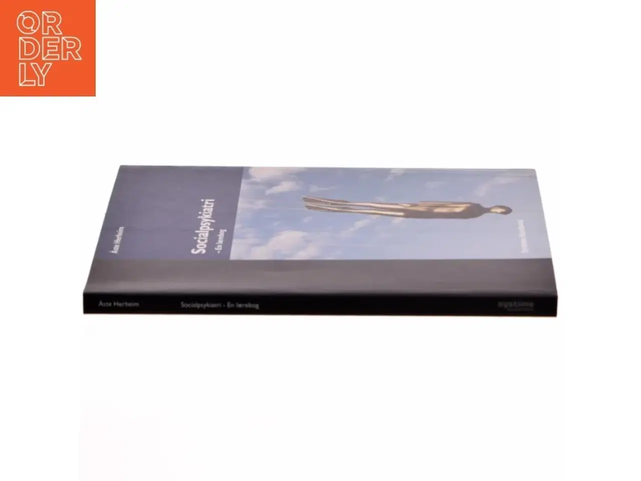 Billede 2 - Socialpsykiatri - en lærebog (Bog)