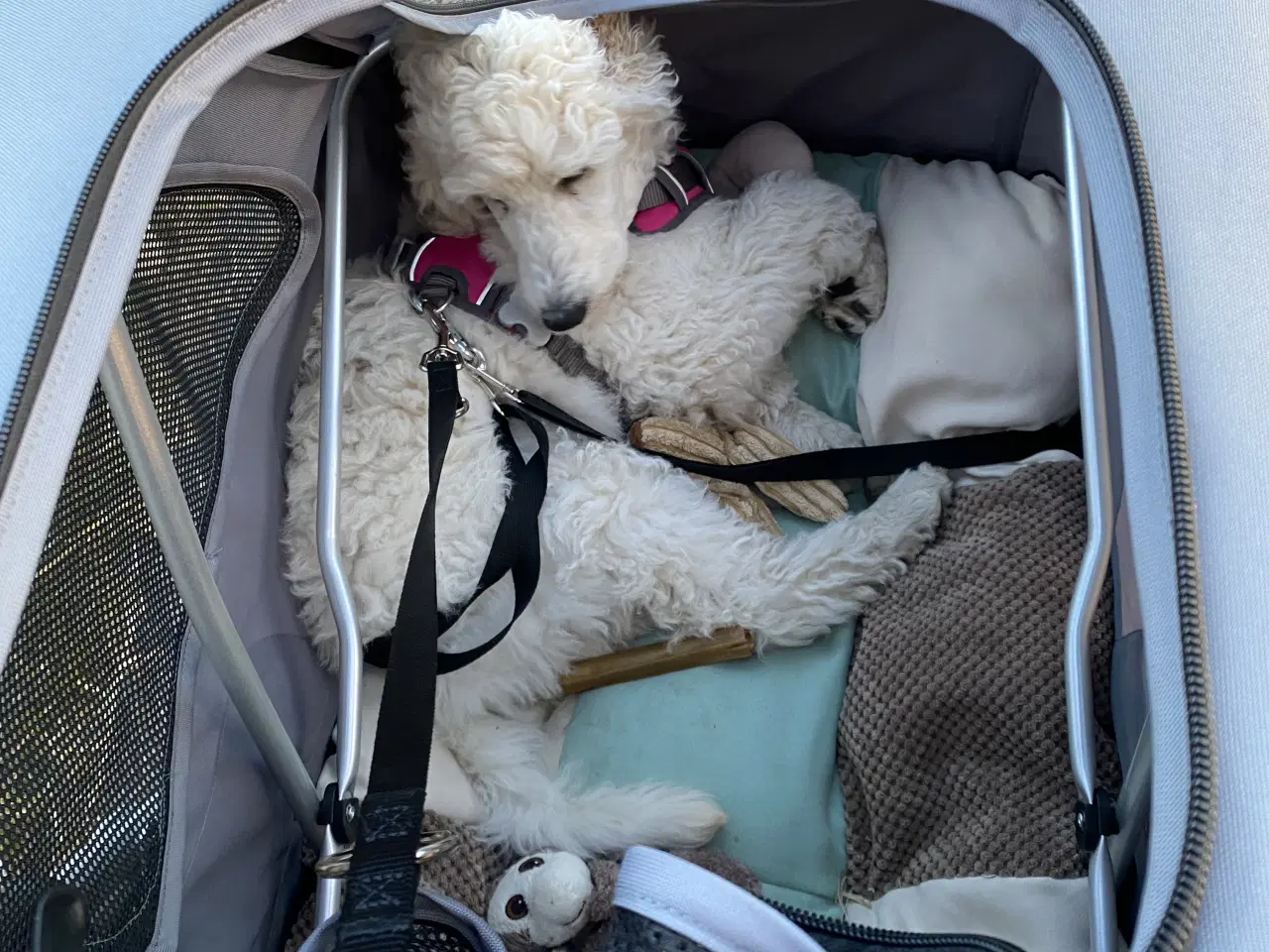 Billede 1 - Fin hundeklapvogn