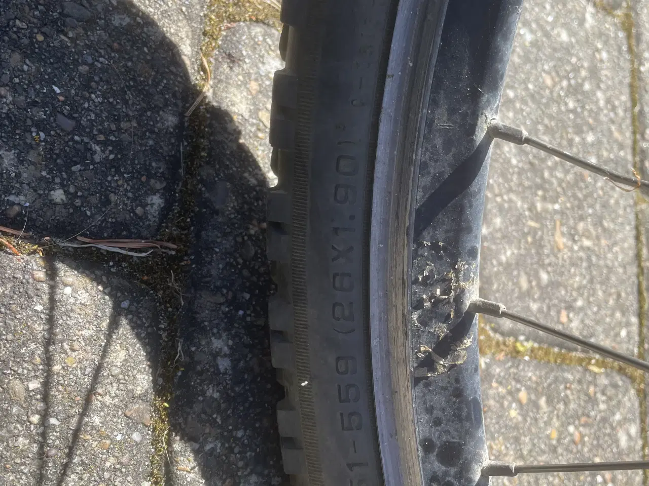 Billede 3 - cykler 26 