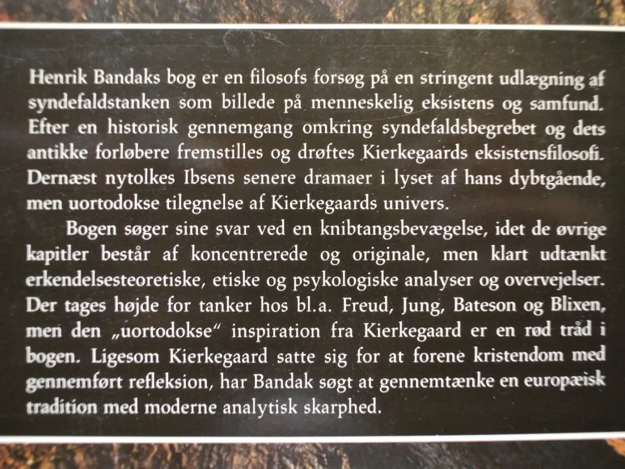 Billede 4 - syndefaldet - tænkning og eksistens, af henrik ban