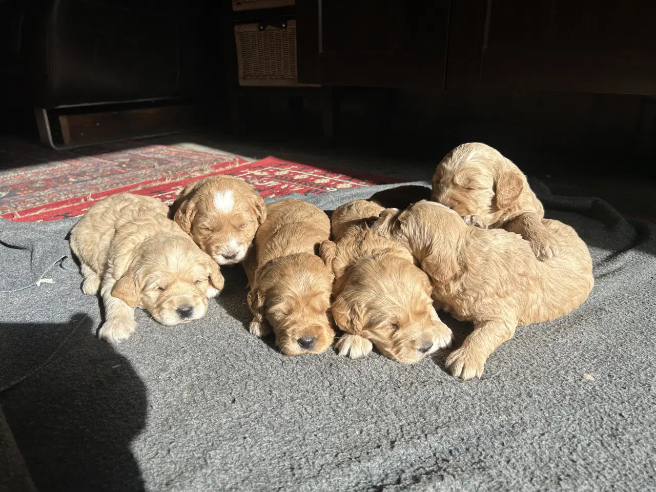 Billede 4 - Doodledoodle