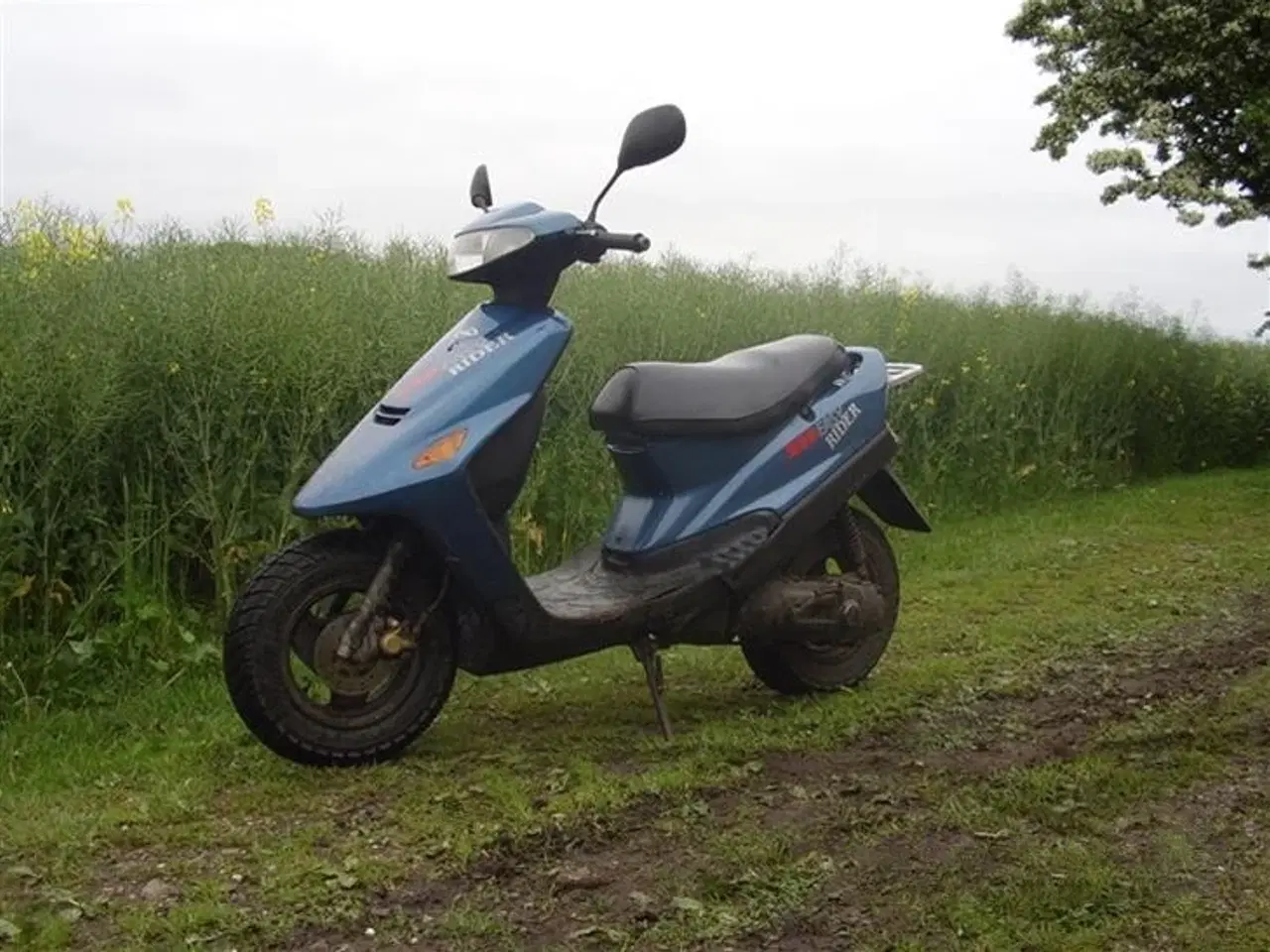 Billede 2 - Kreidler Easy Rider 