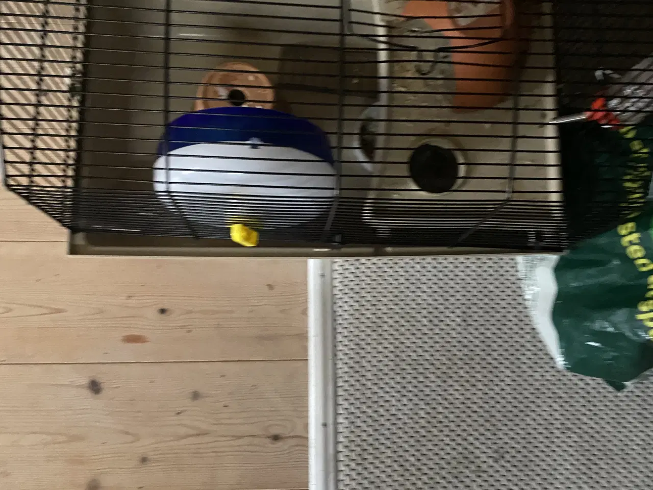 Billede 3 - Vinterhvid hamster m 2 bure og meget andet 