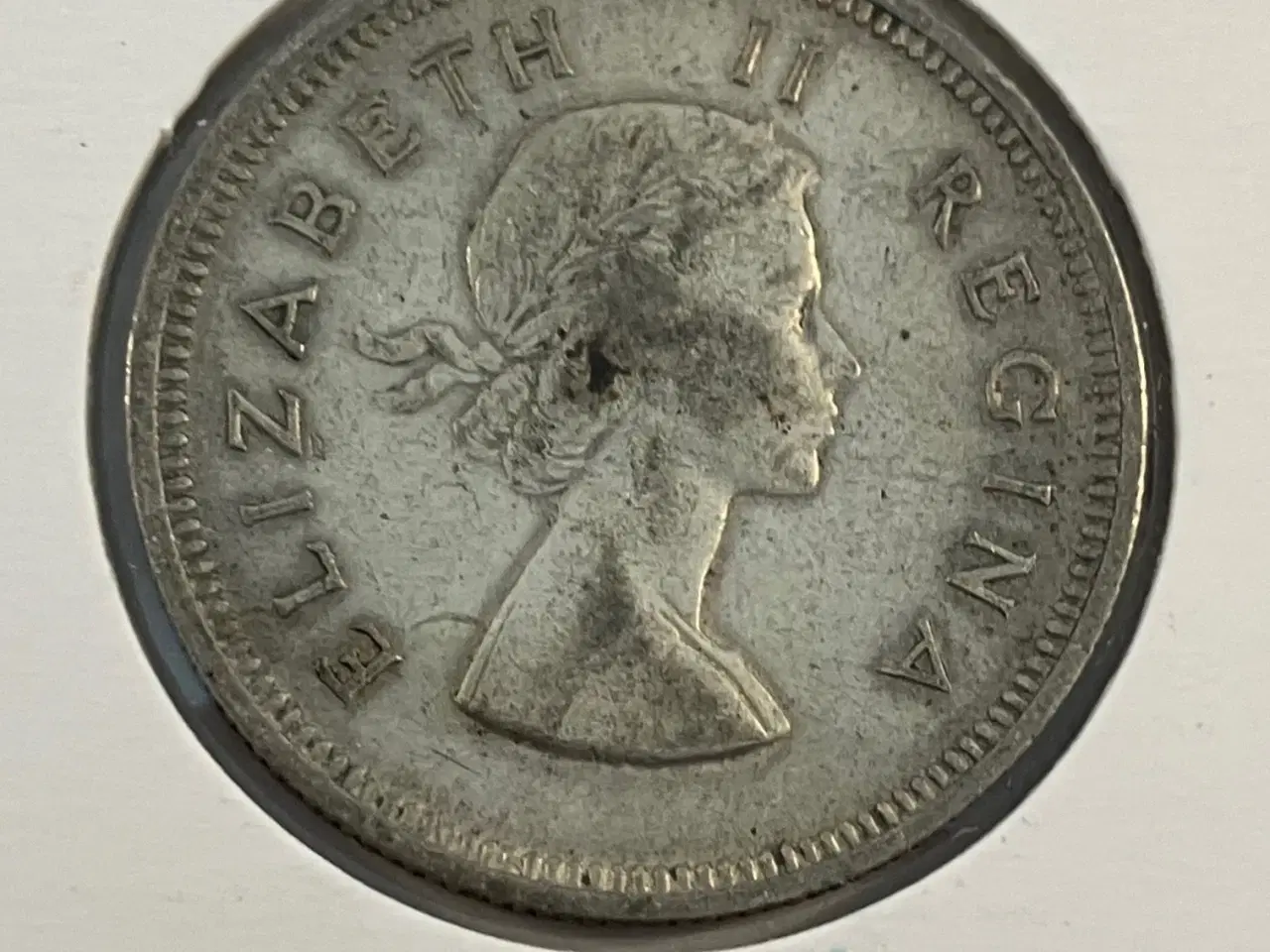 Billede 2 - 2 Shillings South Africa 1955
