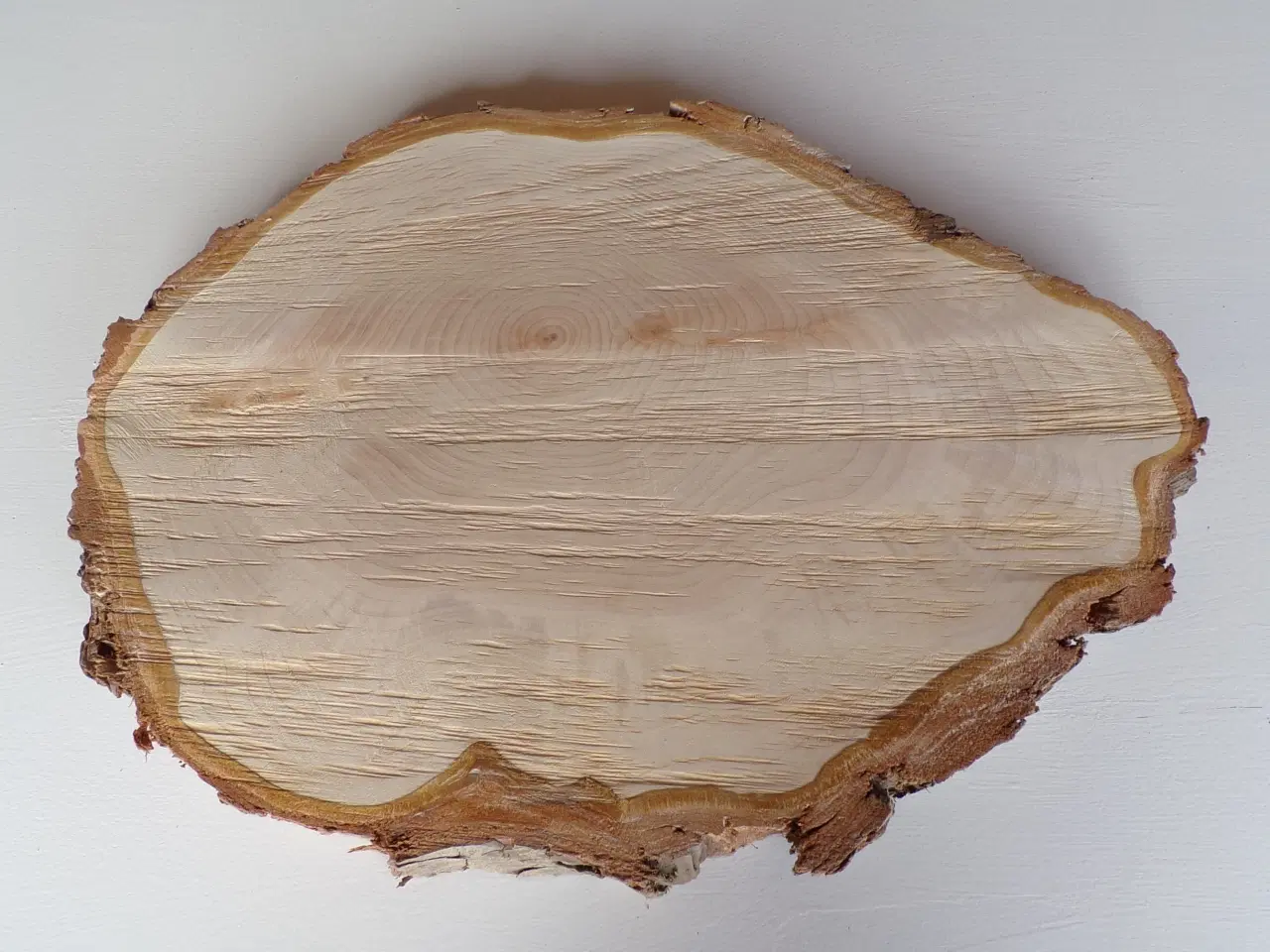 Billede 1 - NY Thuja Træskive med bark 38 cm lang