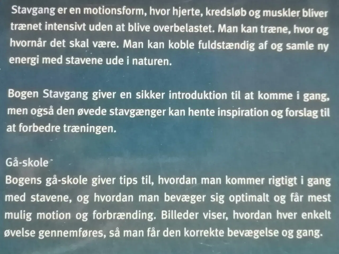 Billede 2 - Stavgang-alt om udstyr, teknik, træning 