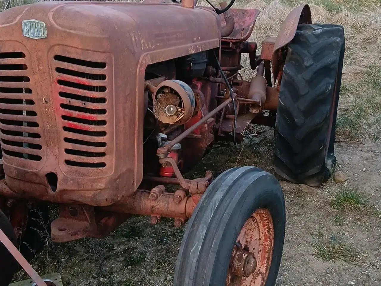 Billede 4 - Bukh 302 super