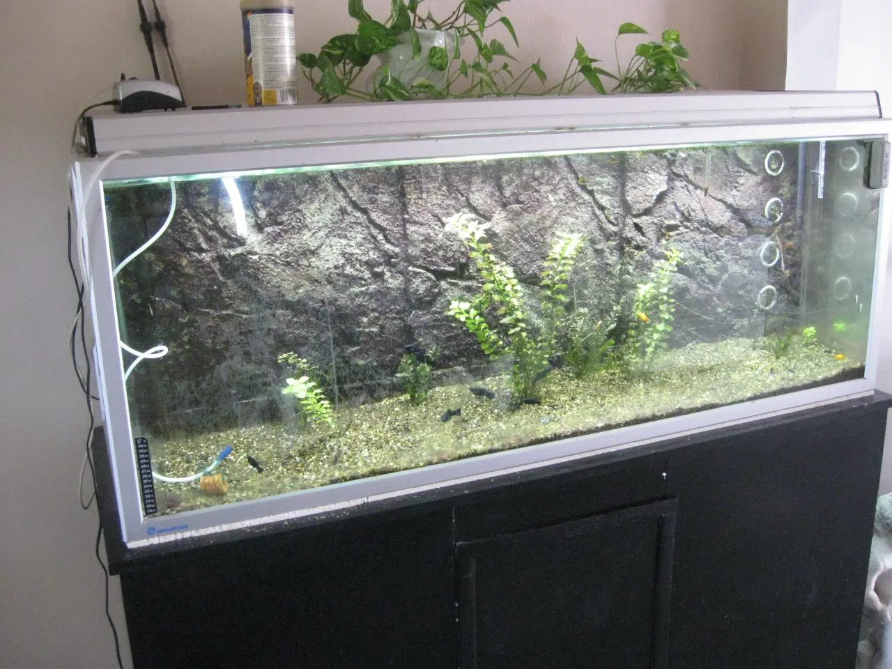 Billede 1 - 525 L Akvarie med med bord