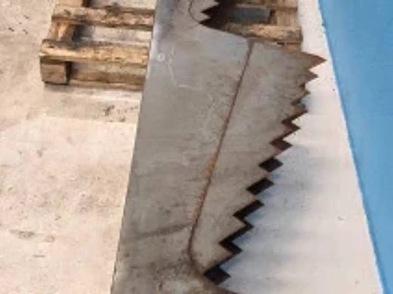 Billede 19 - Massey Ferguson 7278 Ryster 28485200