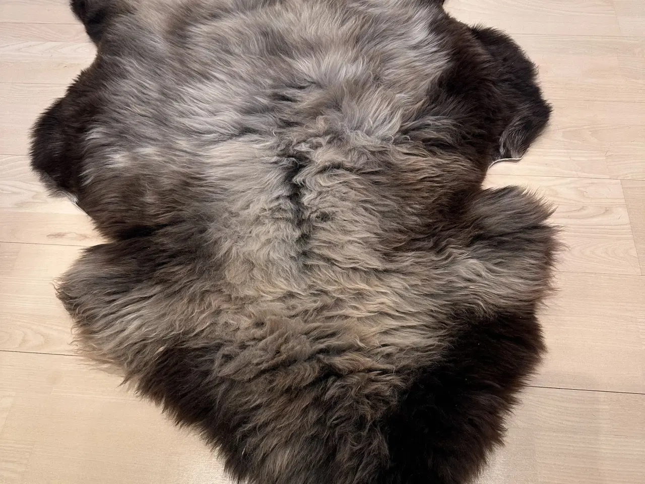 Billede 1 - Lammeskind 