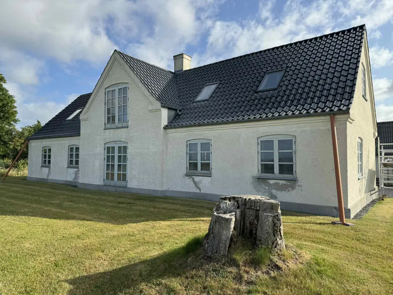 Billede 4 - Algebehandling af tag 