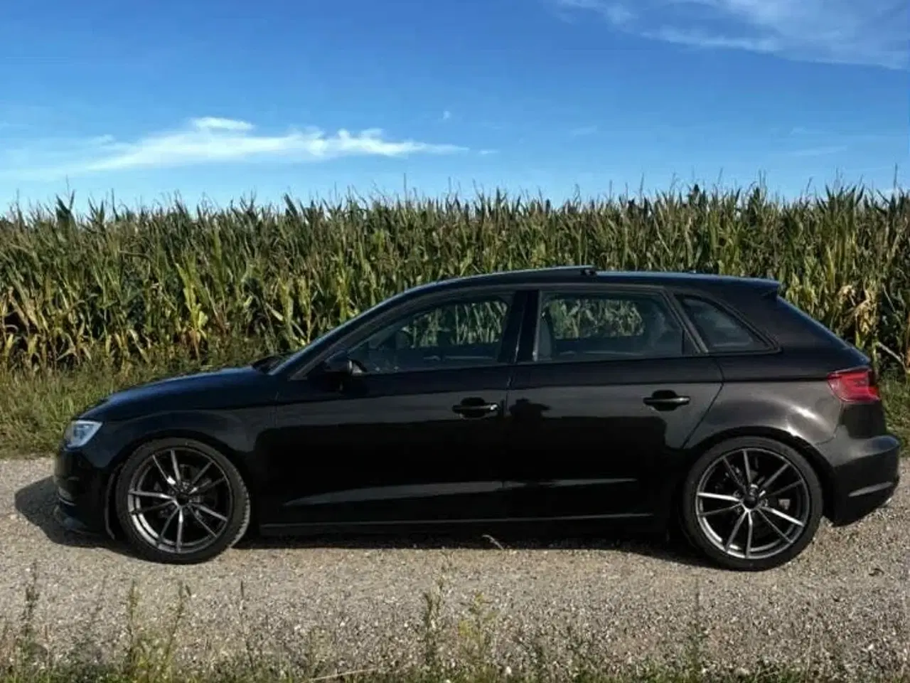 Billede 6 - Audi A3 1,6 TDi Ambiente Sportback