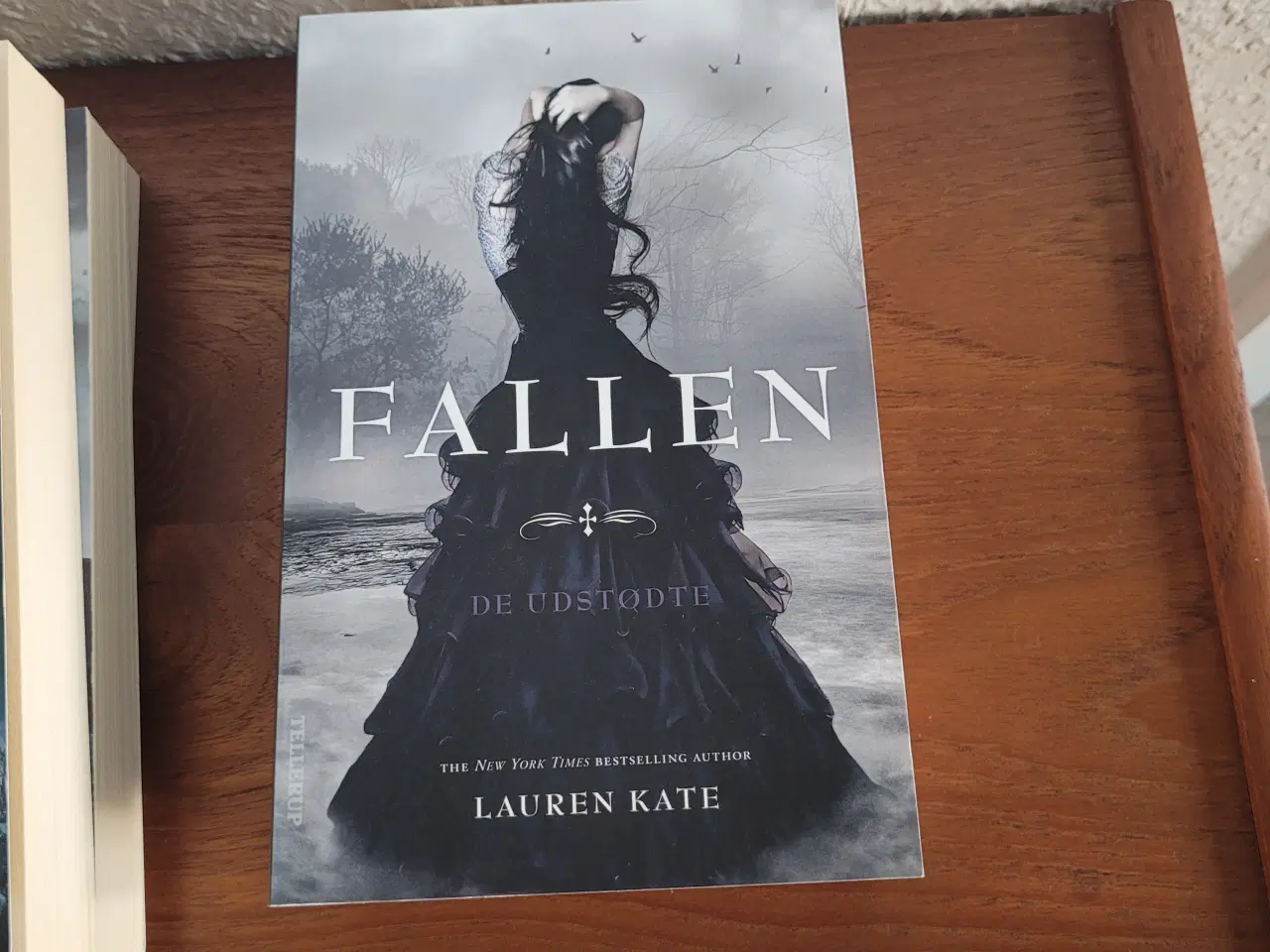 Billede 5 - Bogserie - Fallen 