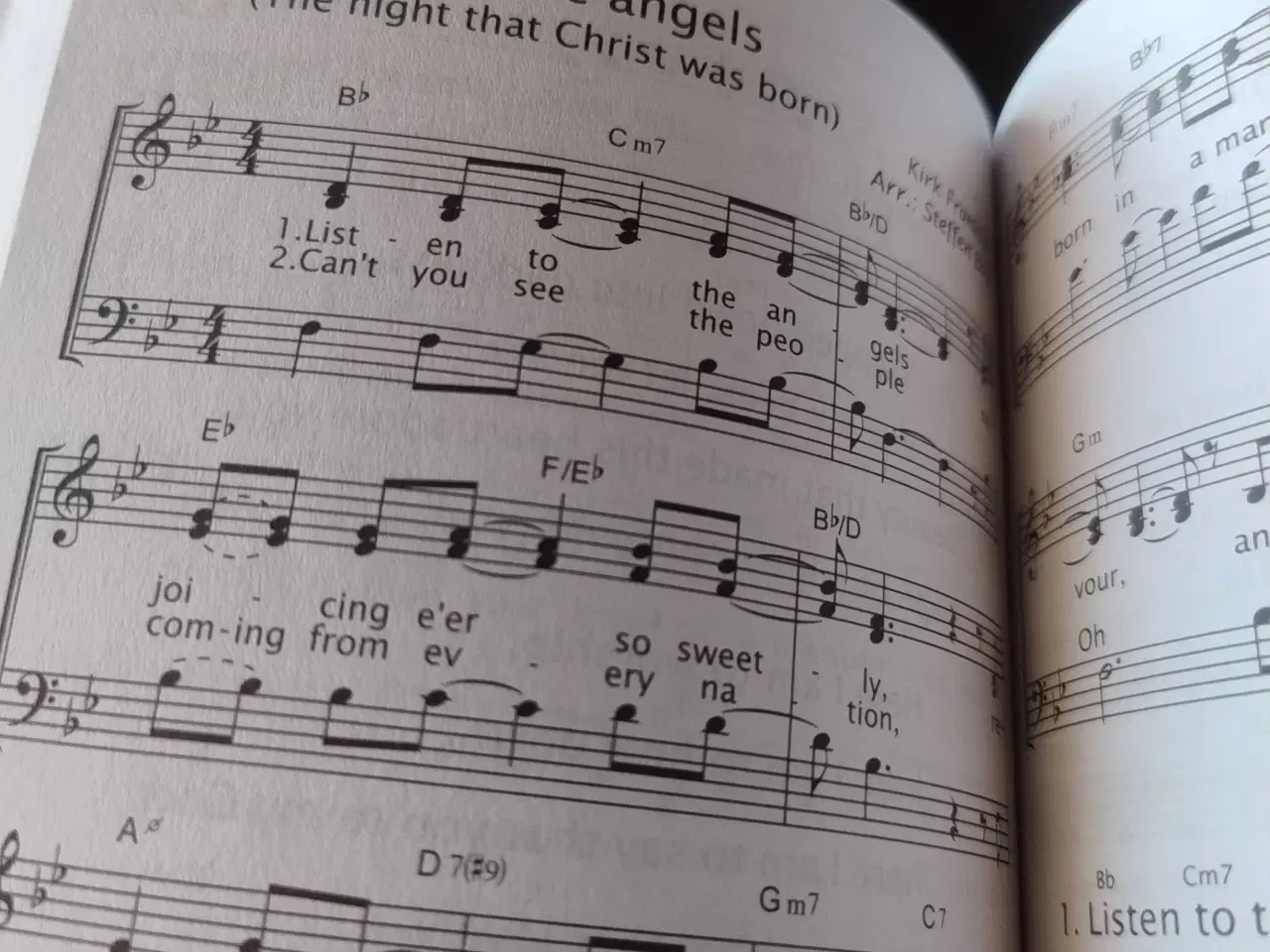 Billede 6 - Fælles sang med noder