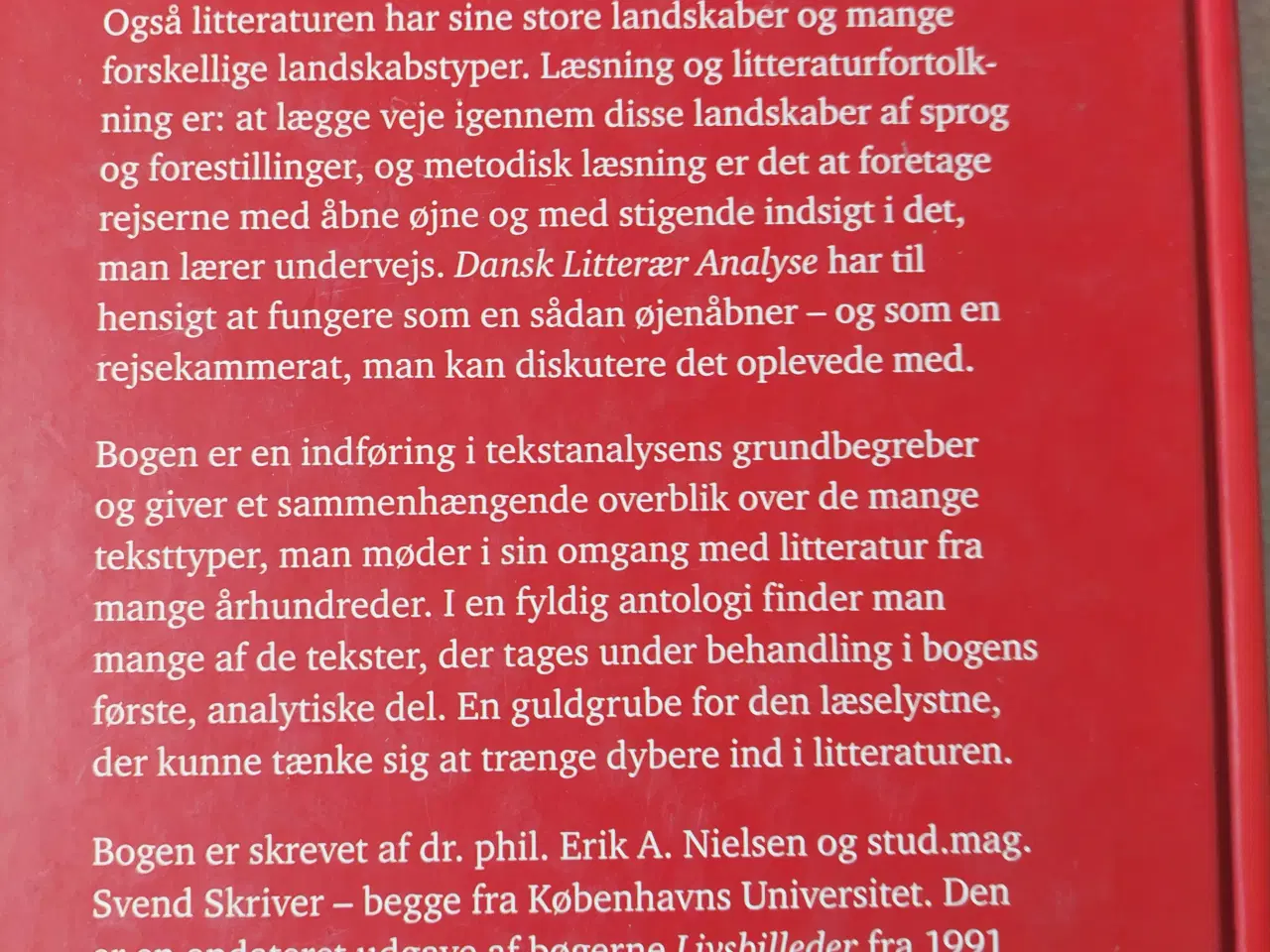 Billede 3 - Dansk Litterær Analyse