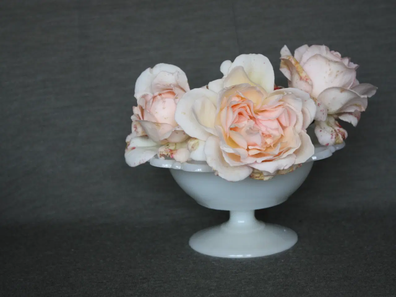 Billede 6 - Gammel glas Flower frog / blomsterstager 