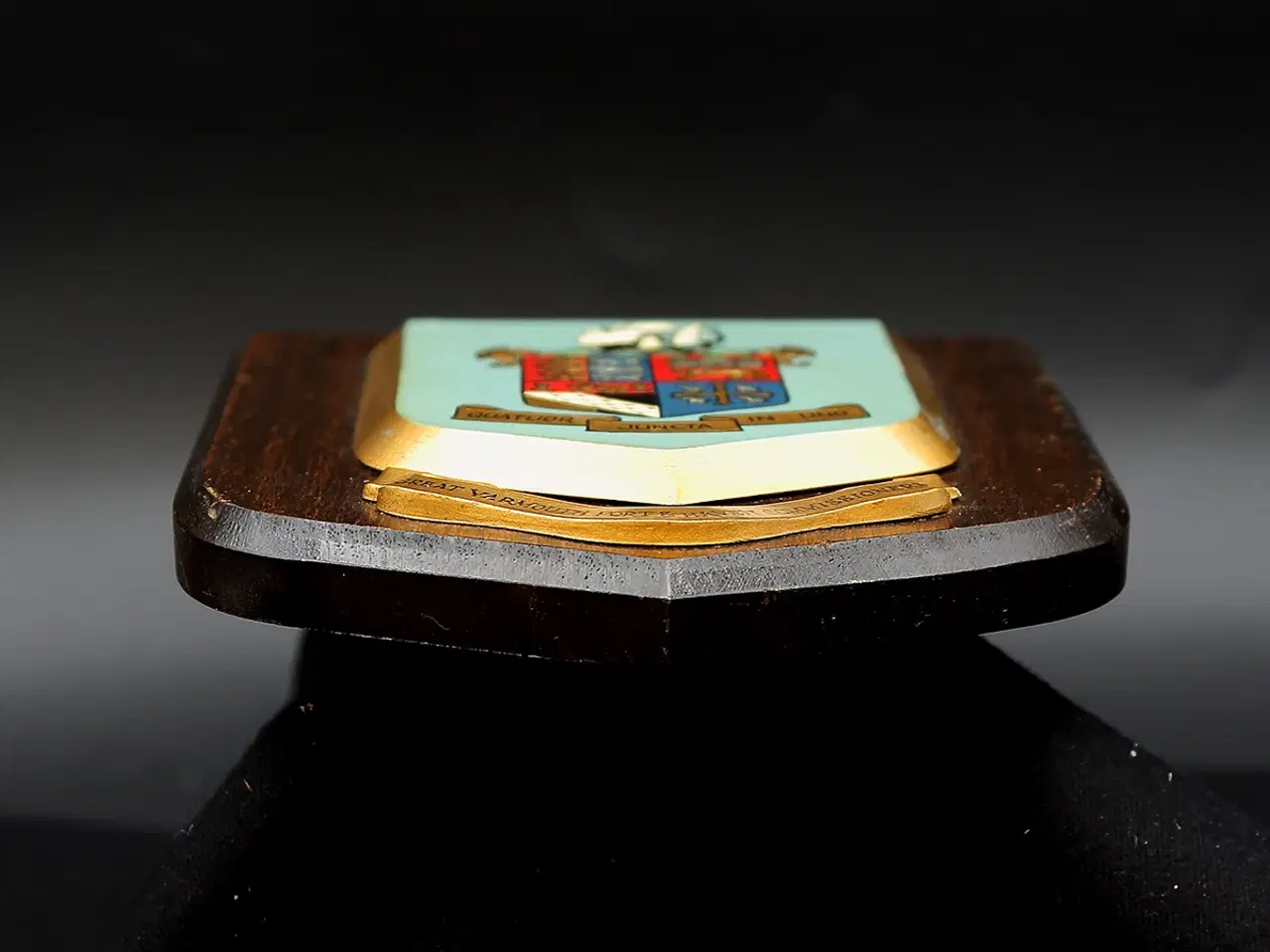 Billede 7 - Great Yarmouth – britisk havnevåbenskjold