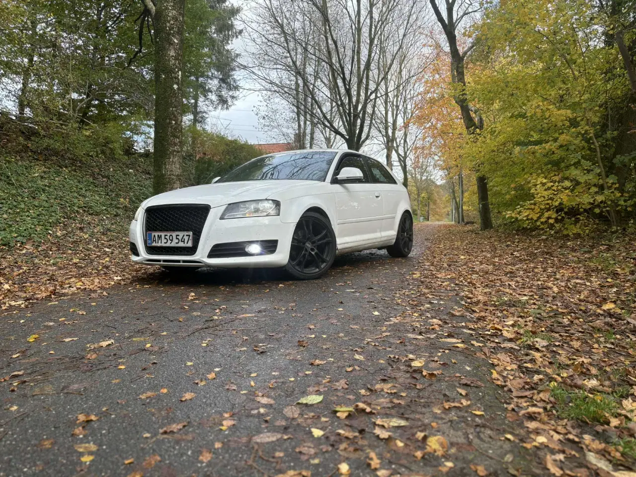 Billede 7 - Audi A3 8P Facelift ( Fuld Service bog )