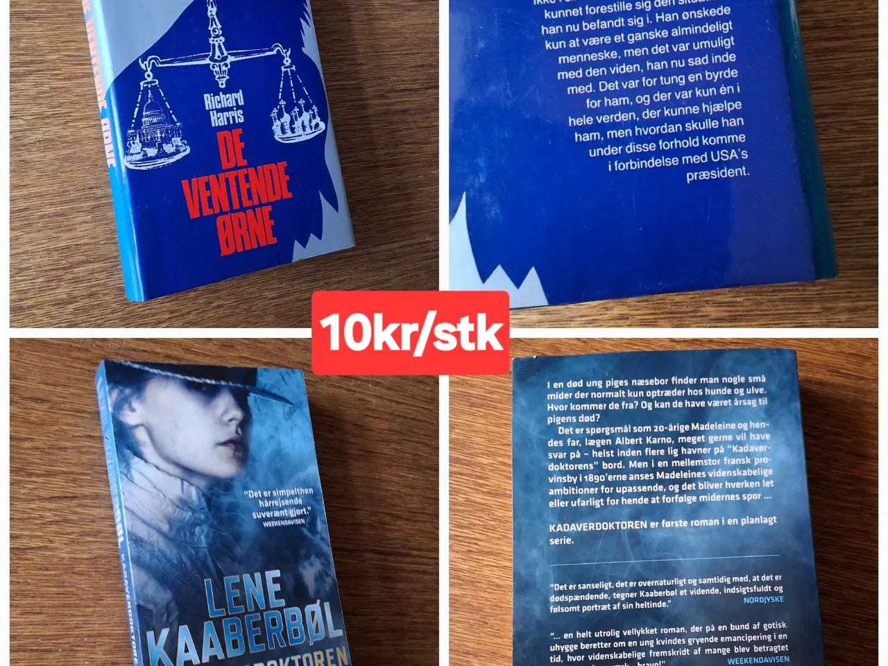 Billede 7 - BOG-UDSALG - 10kr/stk. 