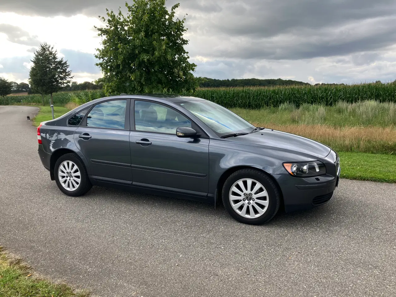 Billede 5 - volvo