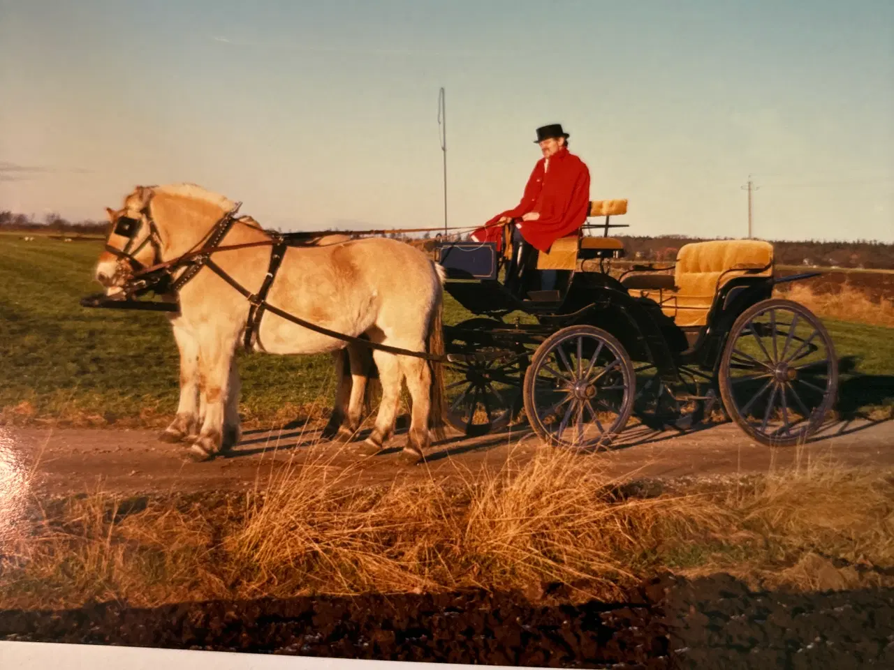 Billede 1 - Stor ponyvogn med buk