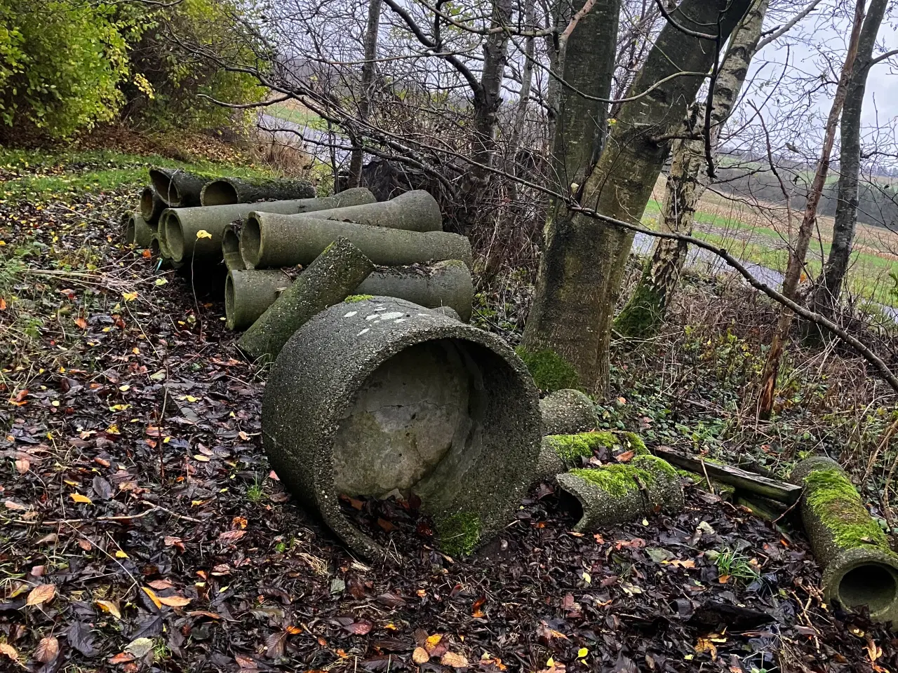 Billede 1 - Kunstgrav/rævegrav