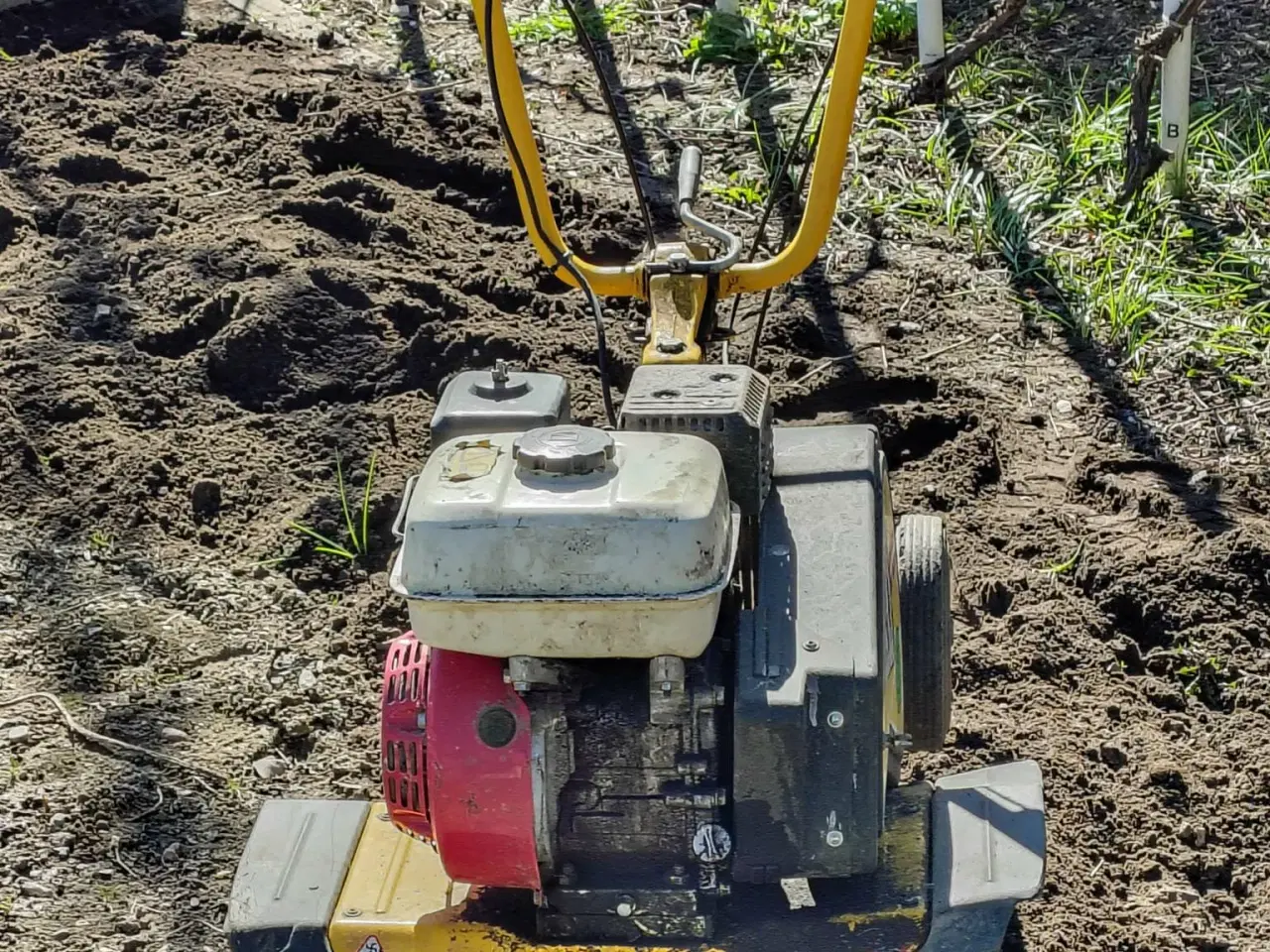 Billede 4 - Havefræser