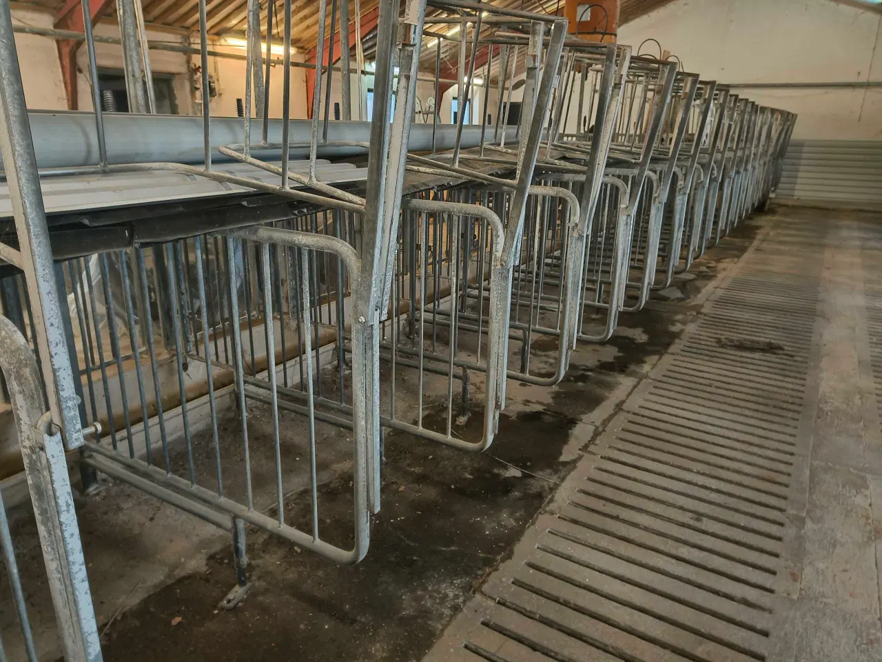 Billede 2 - So boxe med gennemgang